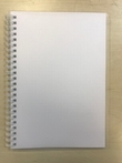 Тетрадь в пластиковой обложке, полупрозрачный, бесцветный 100л, А5 клетка