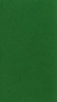 Дизайнерская бумага MALMERO 250г 700х1000 темно-зеленый/amazone